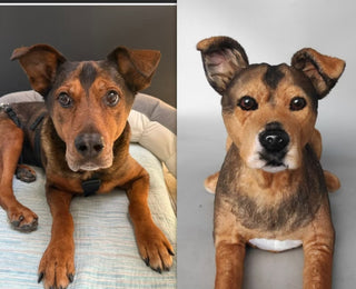 Custom Pet Plush Clone from Photo – Handmade Realistic Pet Replica