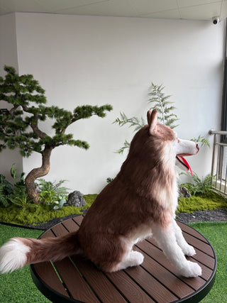 Custom Pet Plush Clone from Photo – Handmade Realistic Pet Replica